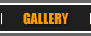 Photo Gallery